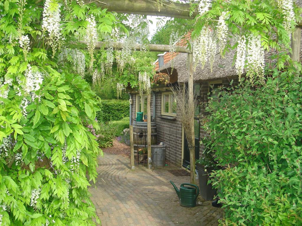 Roing B&B Hijken Exterior foto